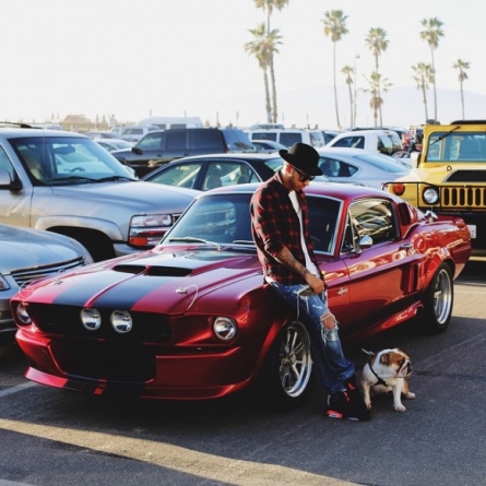 Lewis Hamilton Takes His Bulldog For a Spin In His Classic Mustang GT500